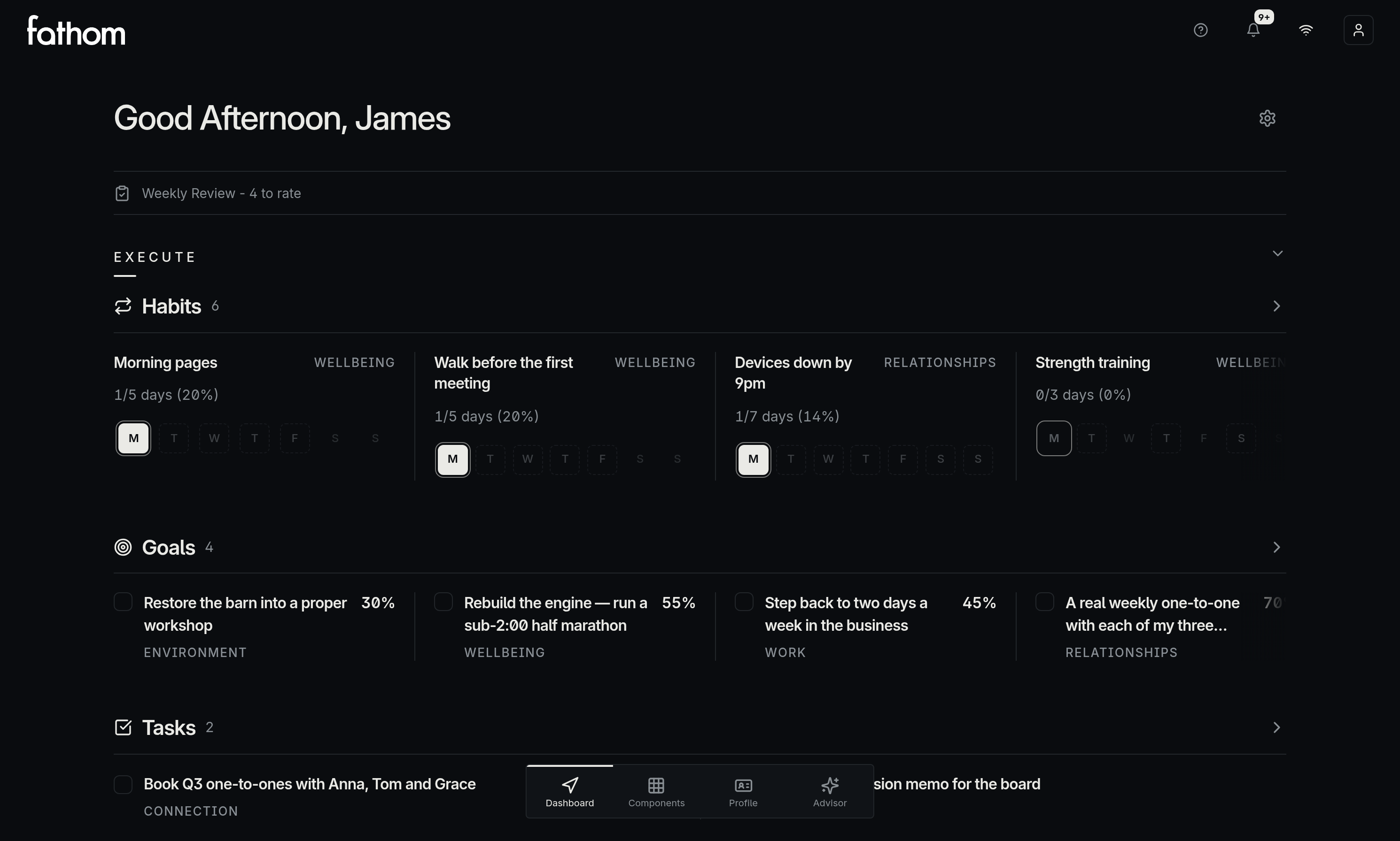 The Fathom Dashboard: a personalised daily view with Goals, Habits and Tasks in the Execute row.